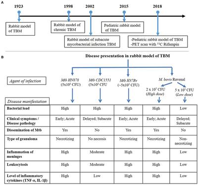 Thalidomide and Phosphodiesterase 4 Inhibitors as Host Directed Therapeutics for Tuberculous Meningitis: Insights From the Rabbit Model